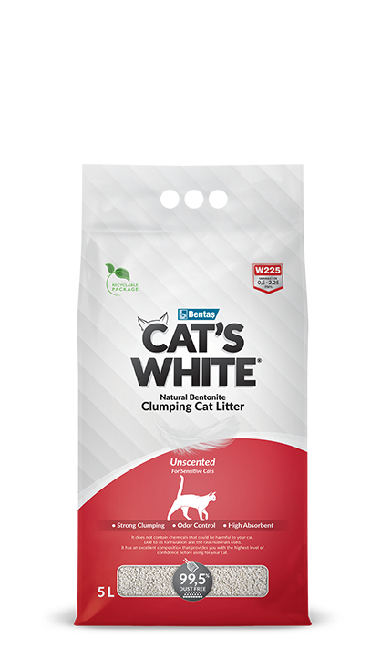 Royal Canin Kitten - Welcome Home Kitten Box